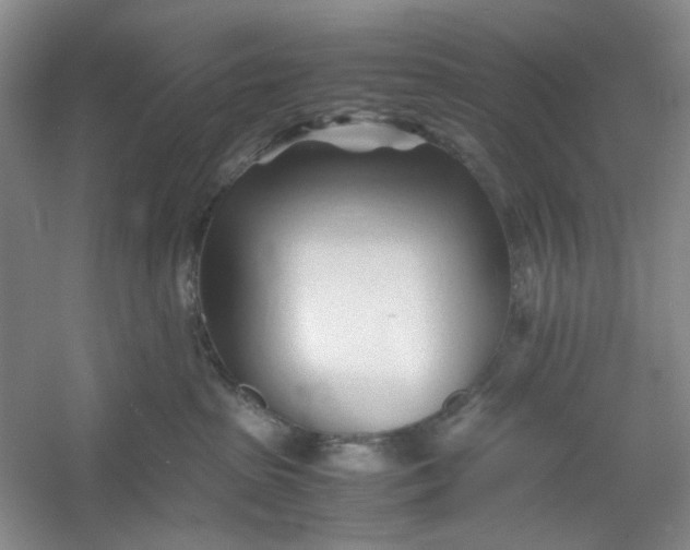 X0000053090285200507251613