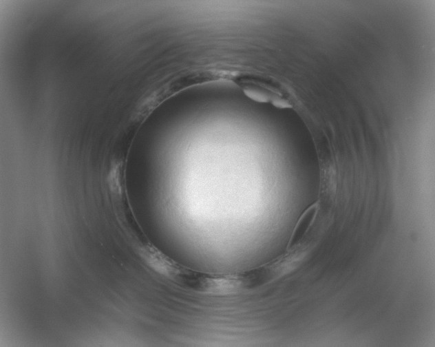 X0000053090286200507251613