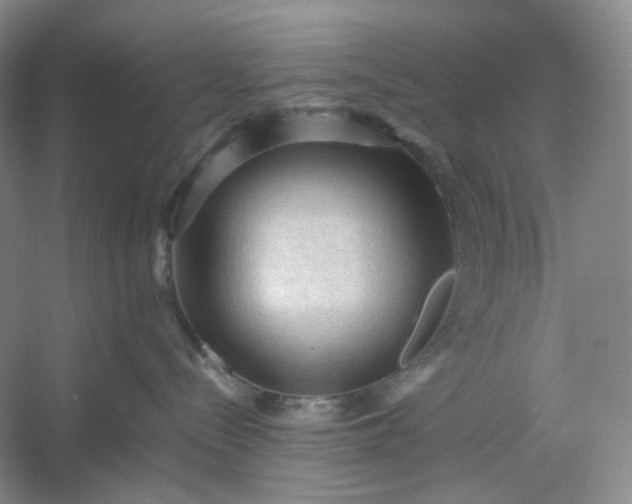 X0000053090288200507251613