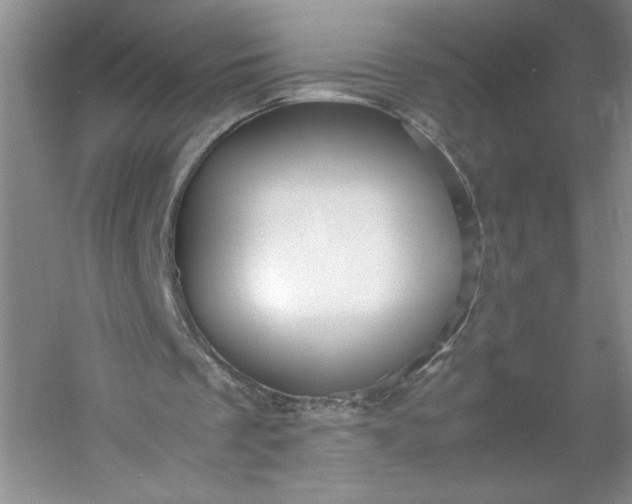 X0000053090289200507251612