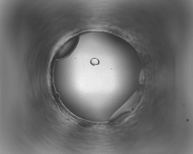 X0000053090294200507251612