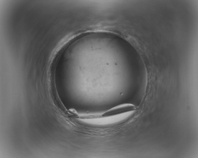 X0000053090295200507251612