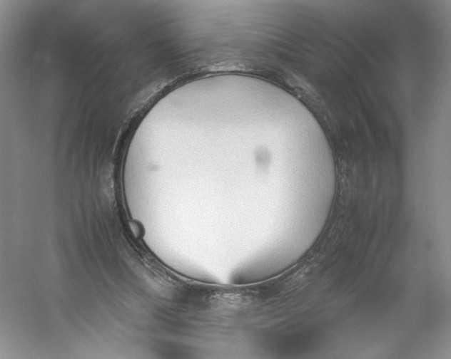 X0000053090298200507251612