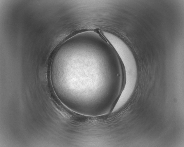 X0000053090299200507251612