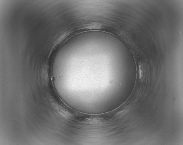 X0000053090300200507251612