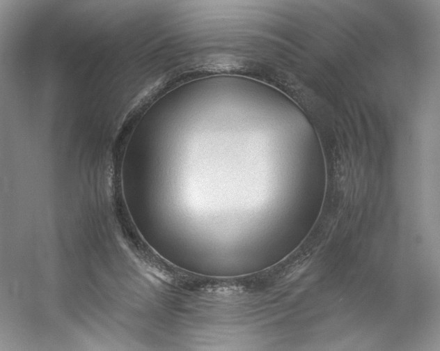 X0000053090304200507251612