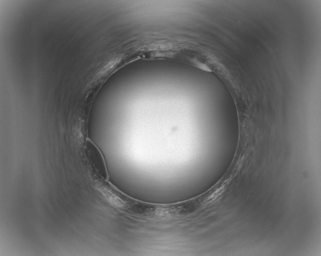 X0000053090305200507251612