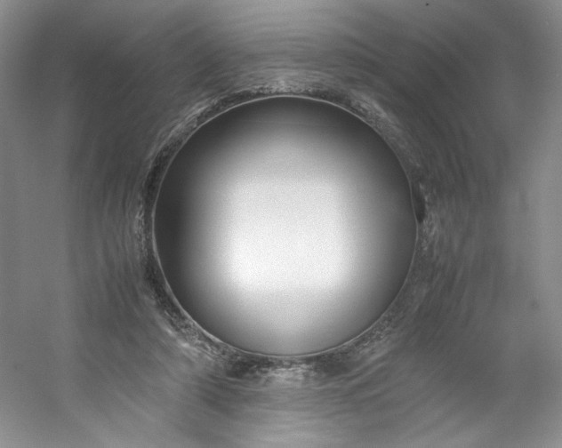 X0000053090306200507251612