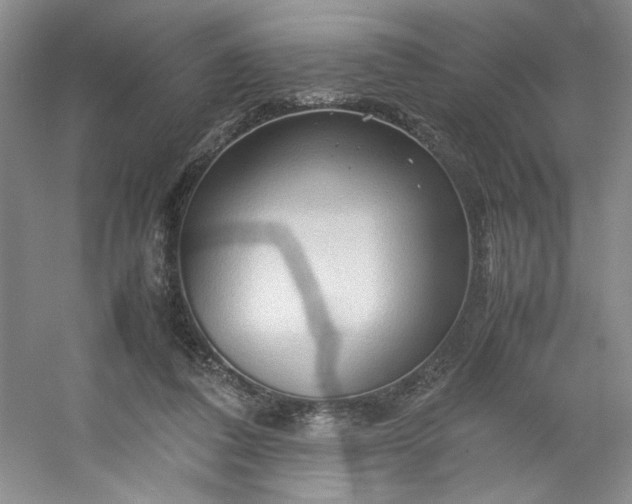 X0000053090308200507251611