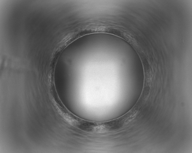 X0000053090309200507251611