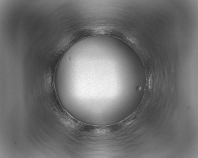 X0000053090314200507251611