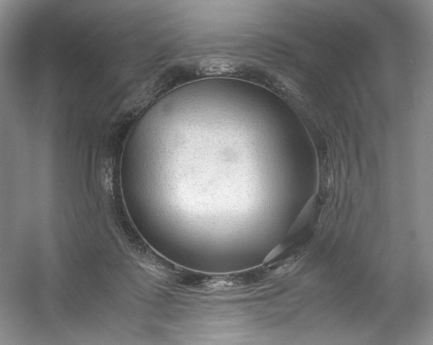 X0000053090315200507251611