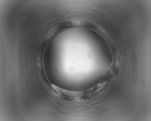 X0000053090317200507251611