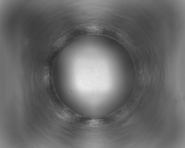 X0000053090320200507251611