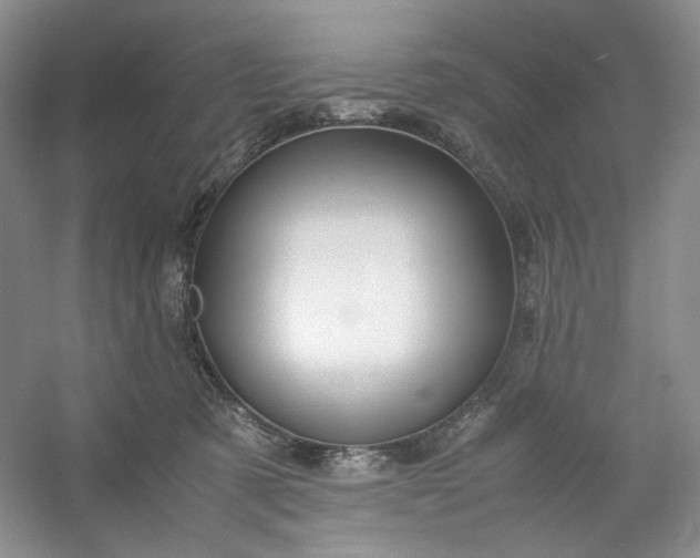 X0000053090321200507251611