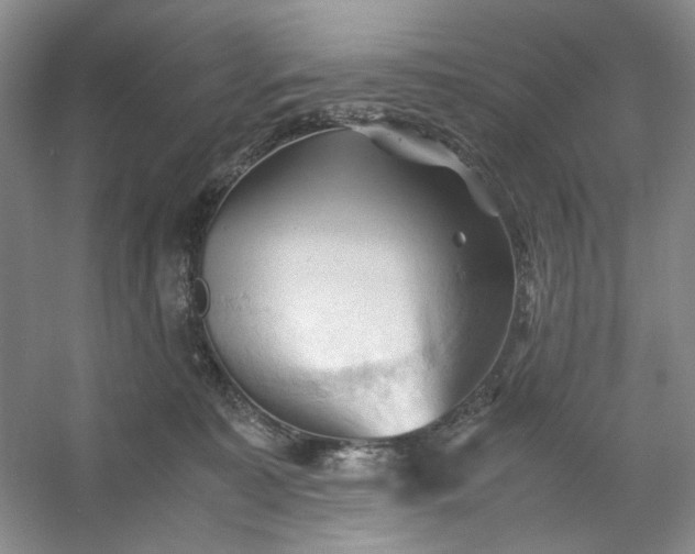 X0000053090323200507251611