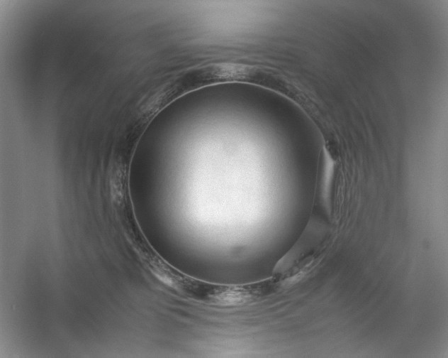 X0000053090325200507251611