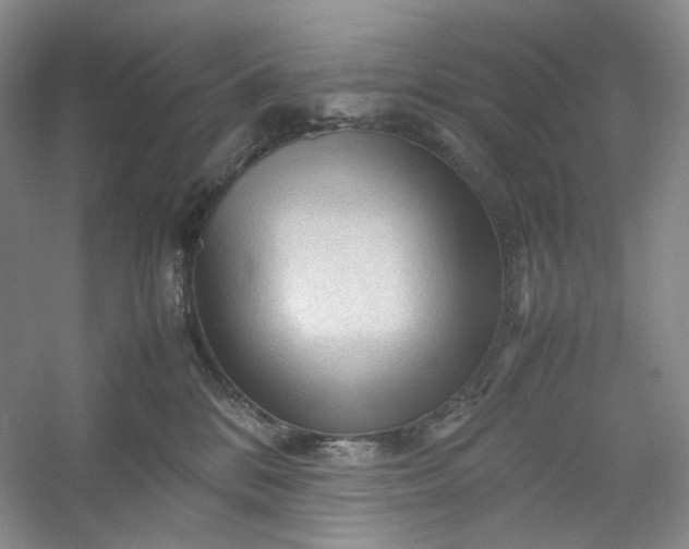 X0000053090328200507251611