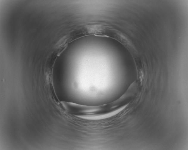 X0000053090329200507251611