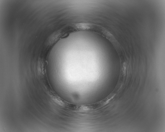 X0000053090330200507251611