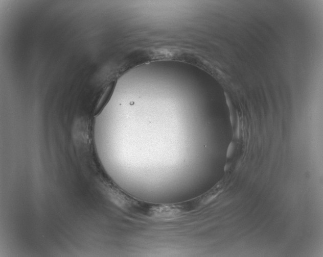 X0000053090331200507251611