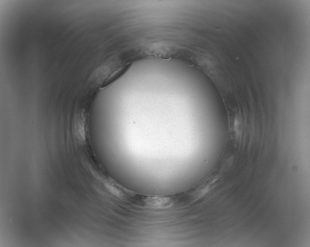 X0000053090334200507251611