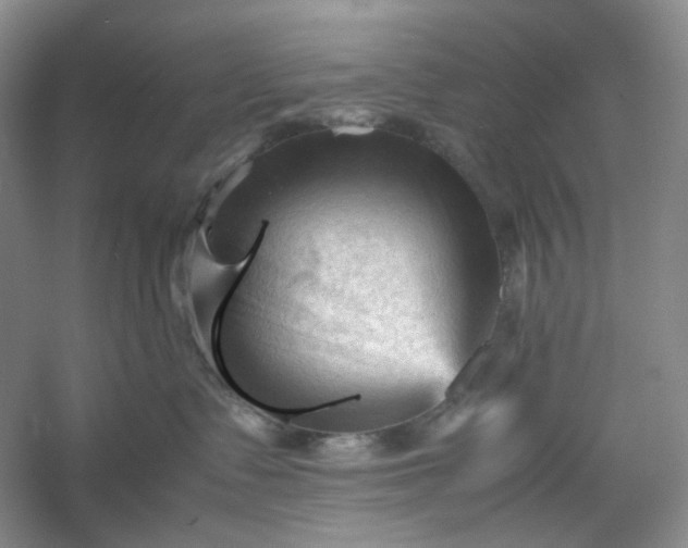 X0000053090335200507251611