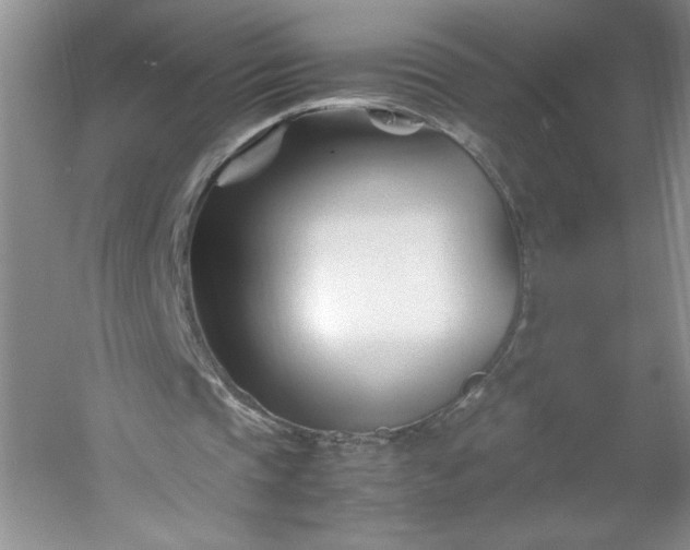 X0000053090337200507251610