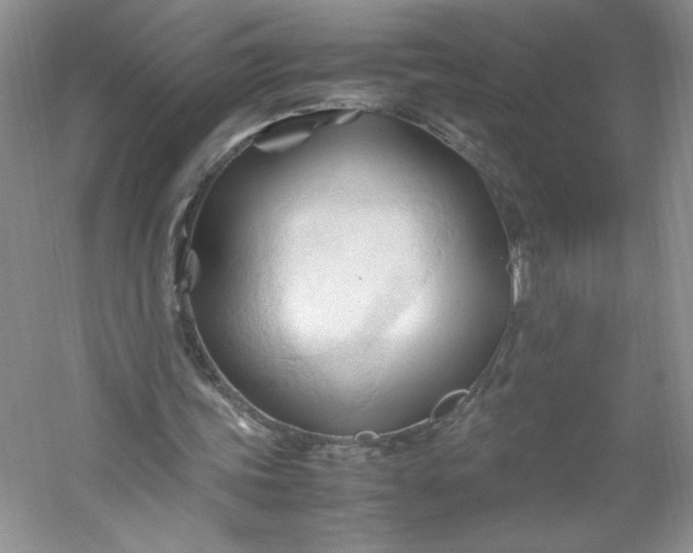 X0000053090339200507251610