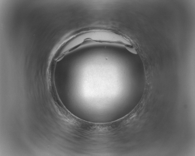 X0000053090343200507251610