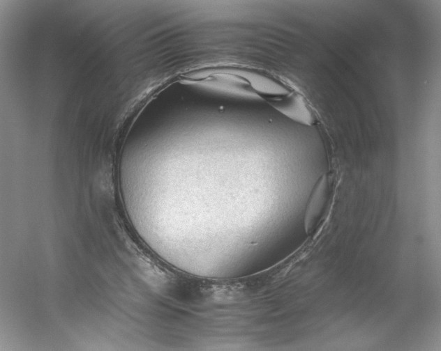 X0000053090345200507251610