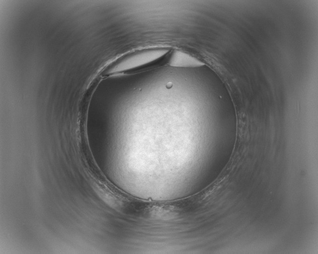 X0000053090346200507251610