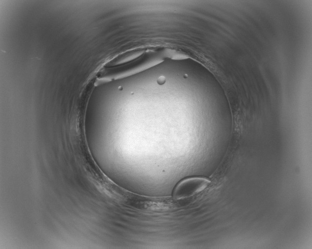 X0000053090347200507251610