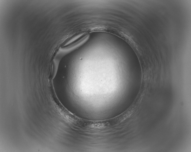 X0000053090353200507251610