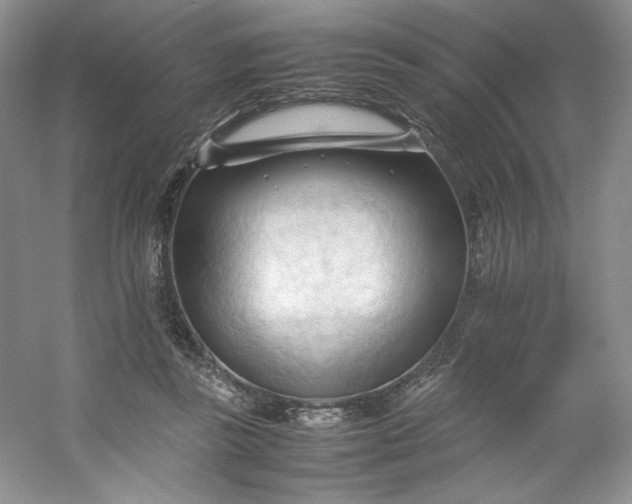 X0000053090355200507251610