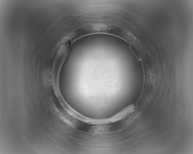 X0000053090356200507251611