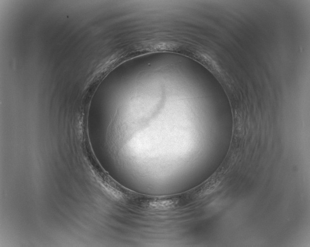 X0000053090357200507251611