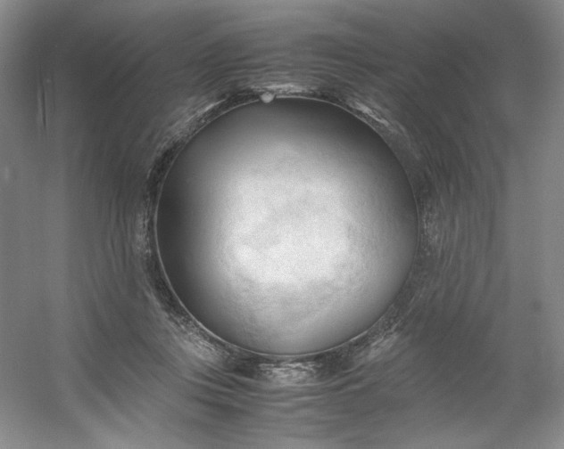 X0000053090359200507251611