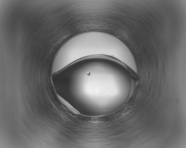 X0000053090360200507251611