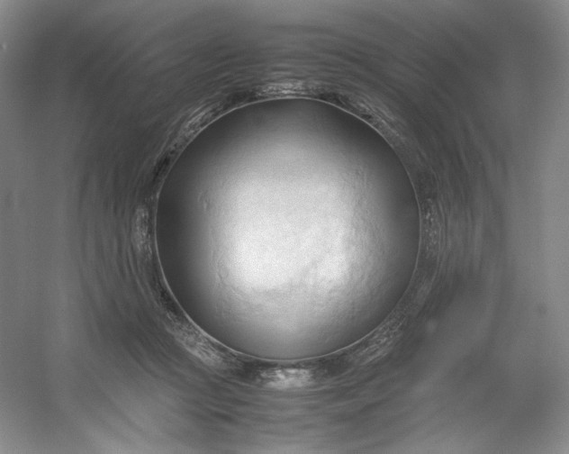 X0000053090361200507251611