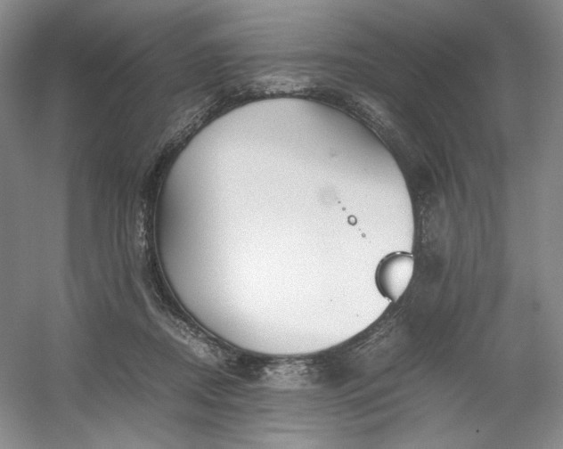 X0000053090362200507251611