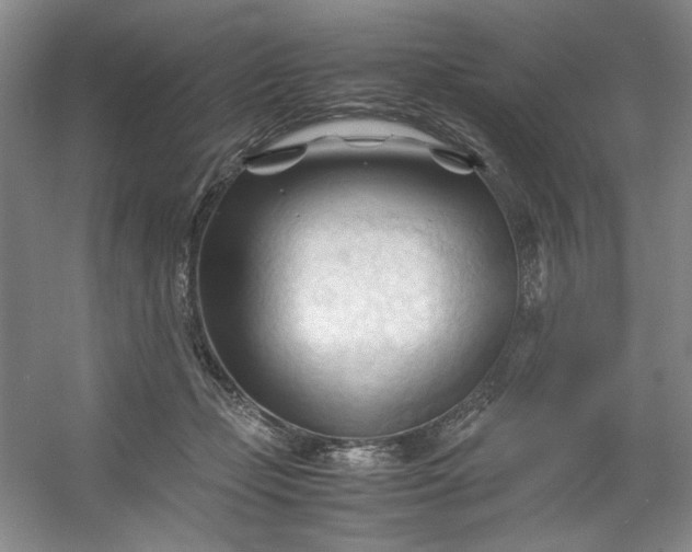 X0000053090365200507251611