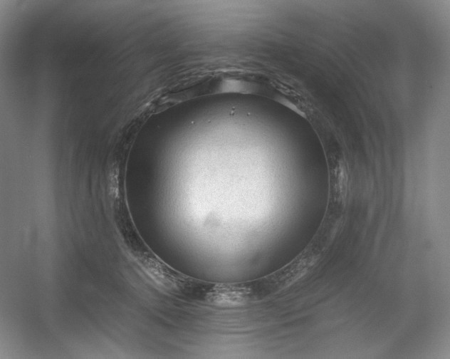 X0000053090368200507251611