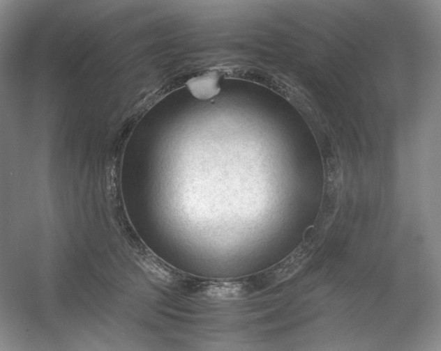 X0000053090369200507251611