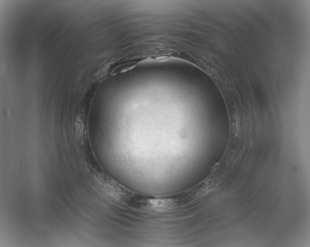 X0000053090371200507251611