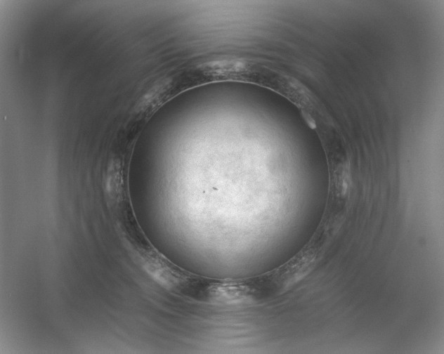 X0000053090372200507251611