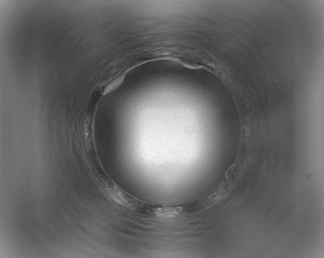 X0000053090373200507251611