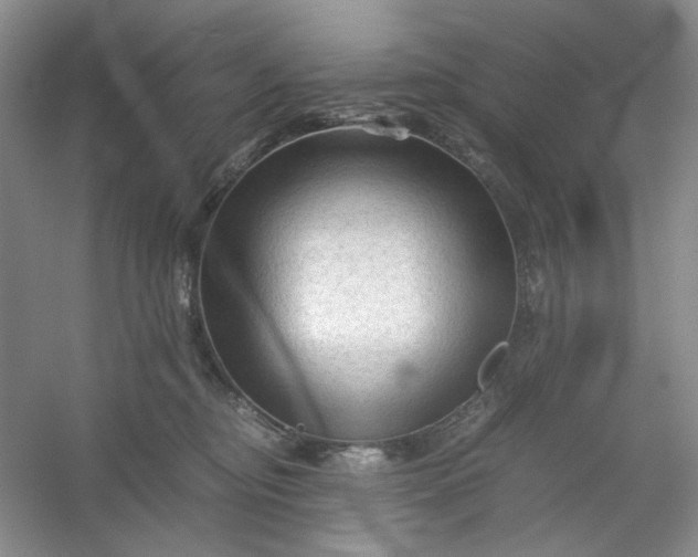 X0000053090374200507251611