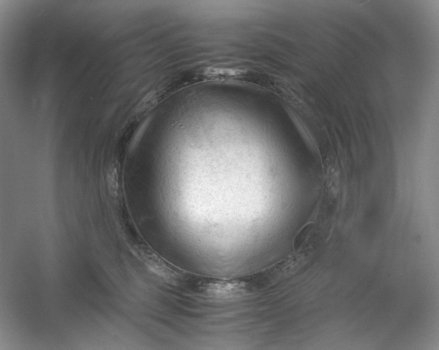 X0000053090375200507251611