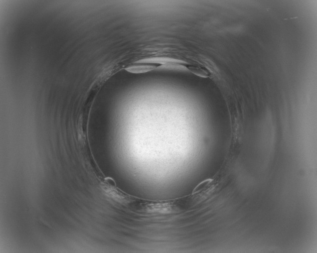 X0000053090377200507251611